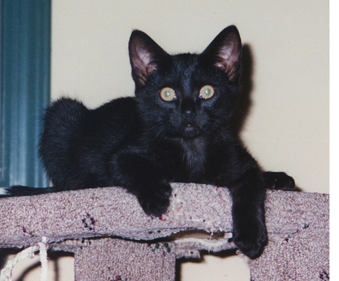 Photograph 181
